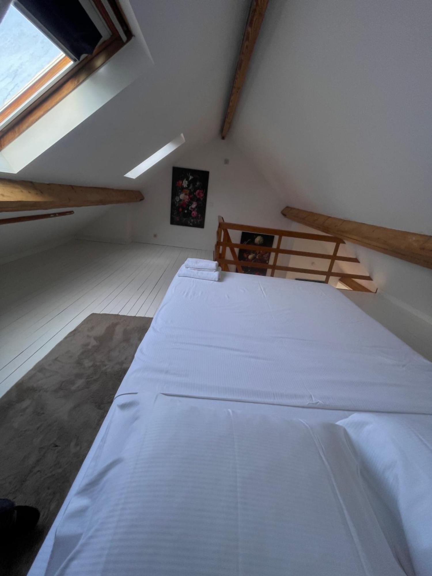 Attic European Quarter Apartman Brüsszel Kültér fotó