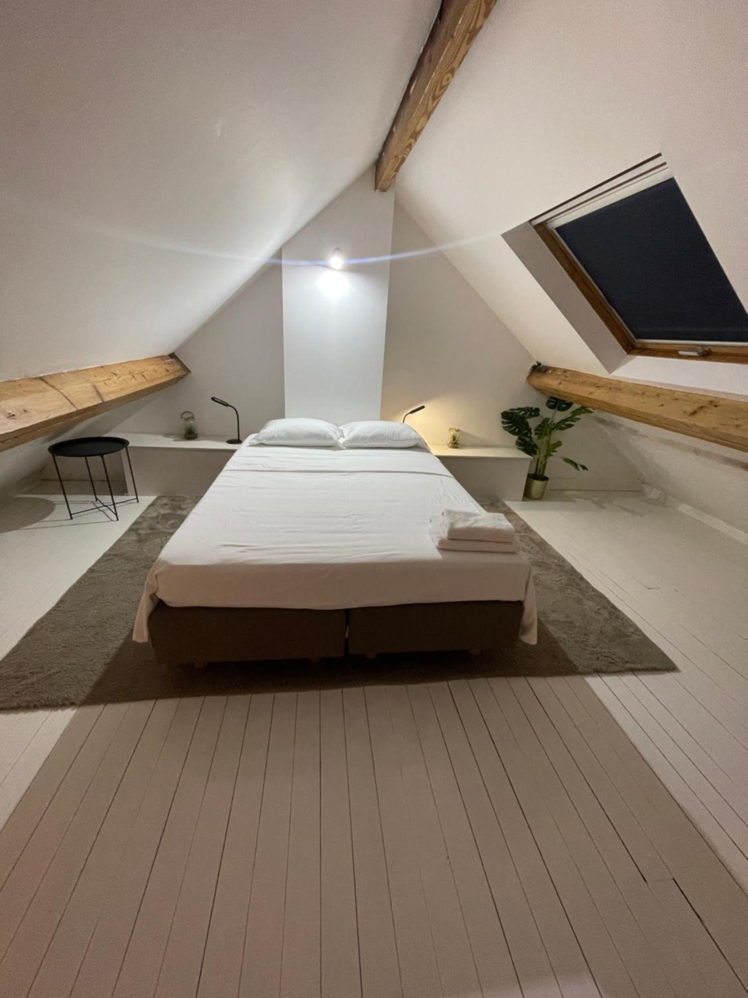 Attic European Quarter Apartman Brüsszel Kültér fotó