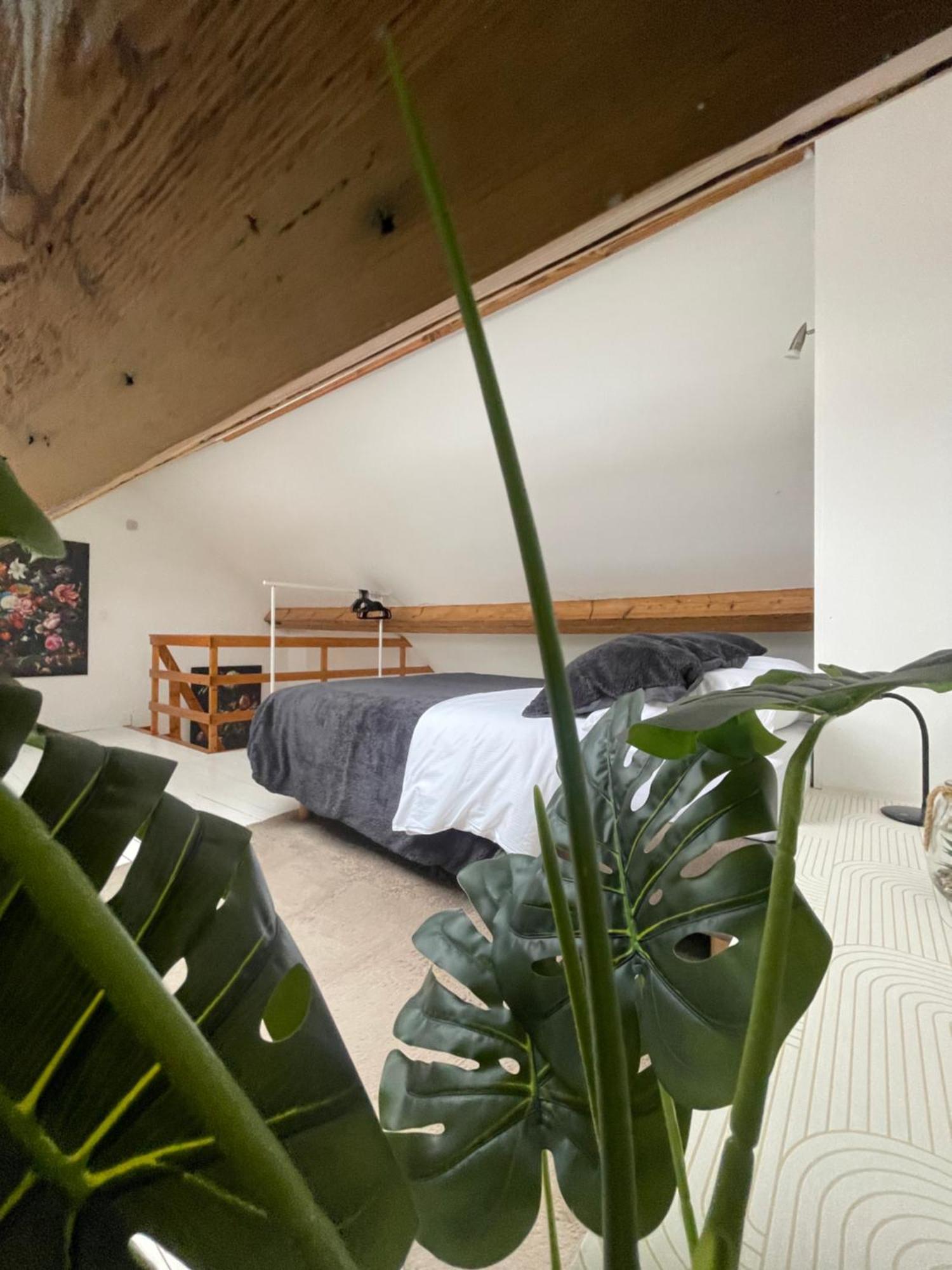 Attic European Quarter Apartman Brüsszel Kültér fotó